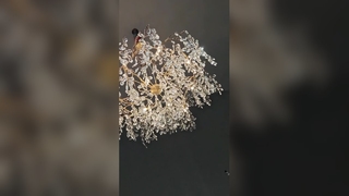 ثريا ماغنوليا بيضاء أنيقة للفنادق الفاخرة